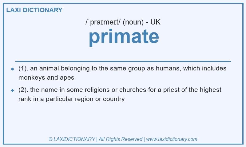 Definition primate in British English