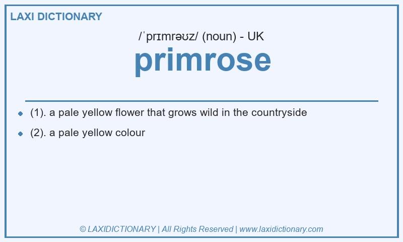 Definition primrose in British English