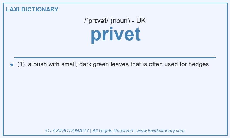Definition privet in British English