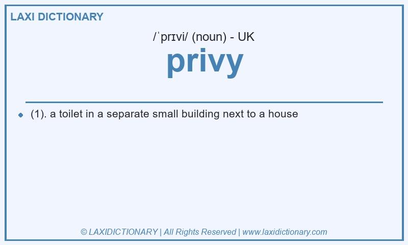 Definition privy in British English