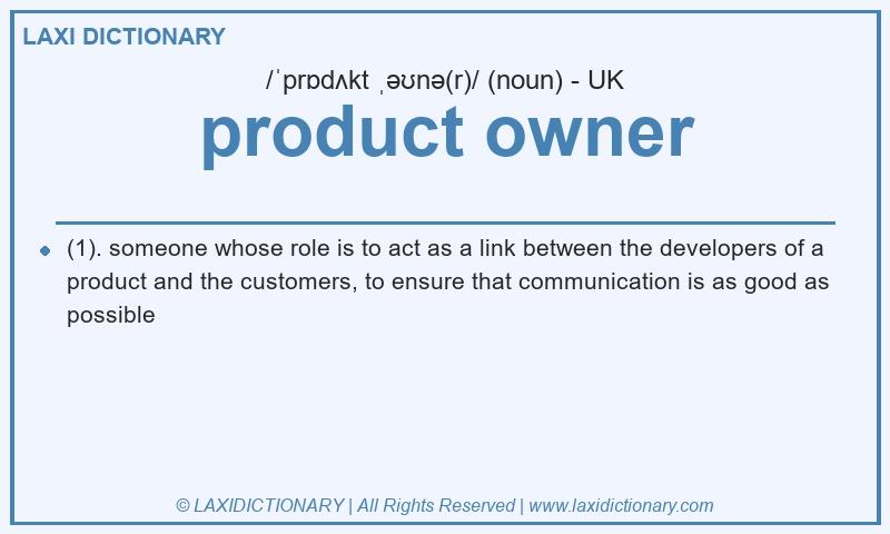 Definition product owner in British English