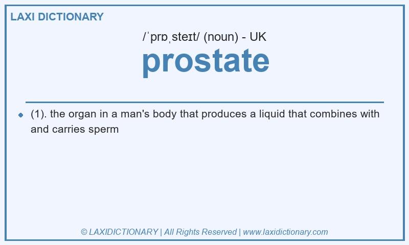 Definition prostate in British English