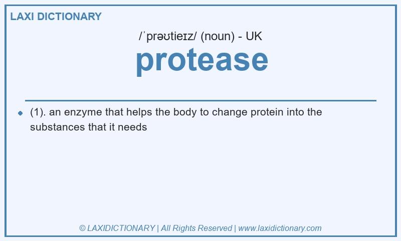 Definition protease in British English
