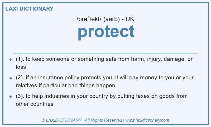 Definition protect in British English
