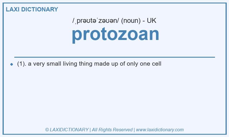 Definition protozoan in British English