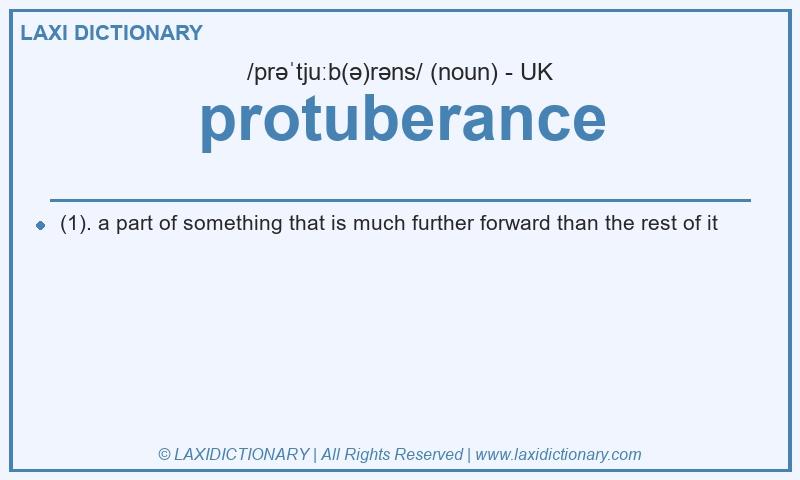 Definition protuberance in British English