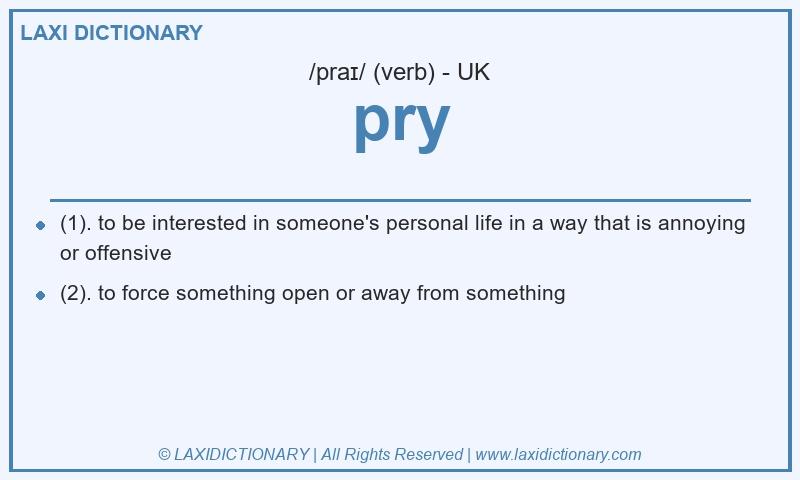 Definition pry in British English