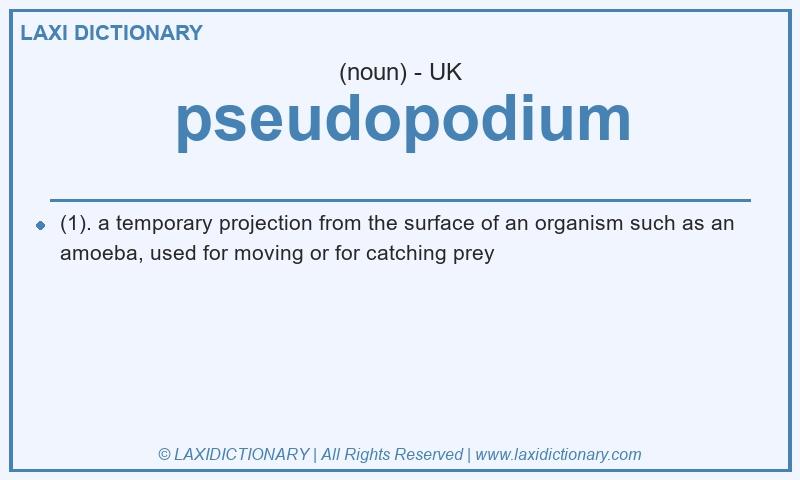 Definition pseudopodium in British English