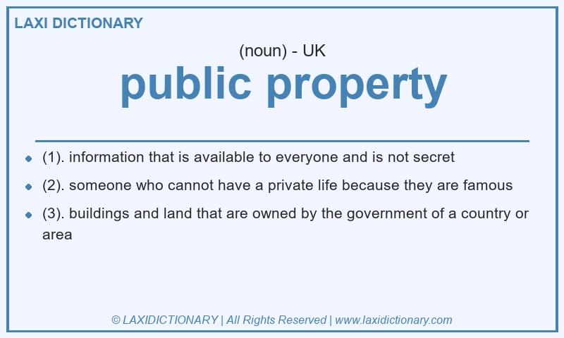 Definition public property in British English