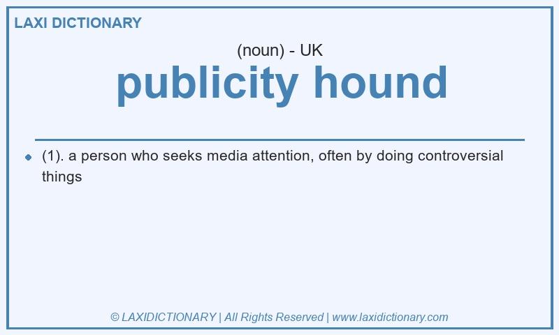 Definition publicity hound in British English