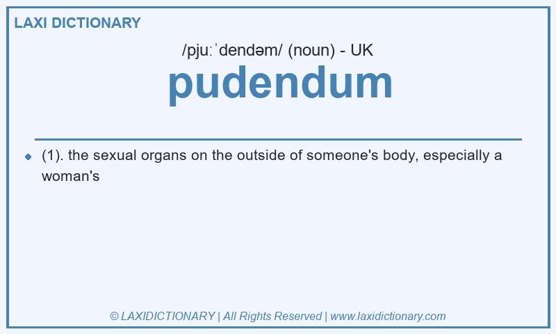 Definition pudendum in British English