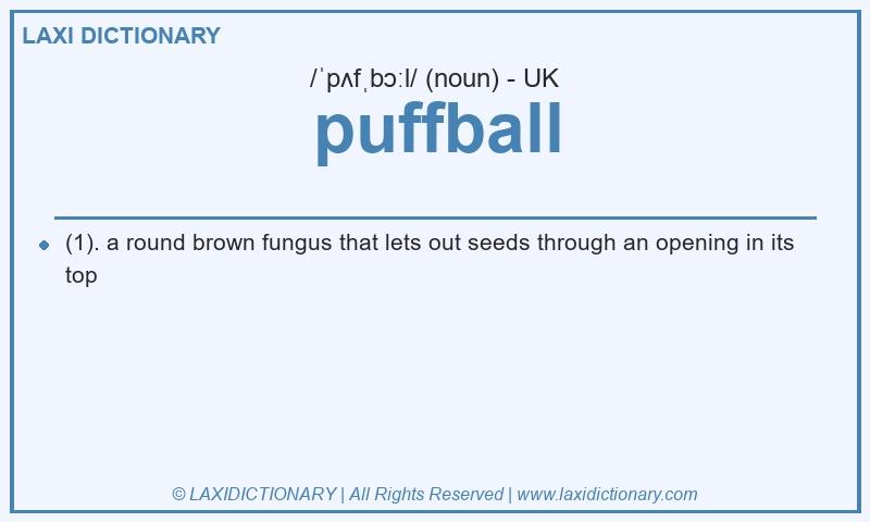 Definition puffball in British English