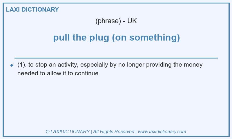 Definition pull the plug (on something) in British English