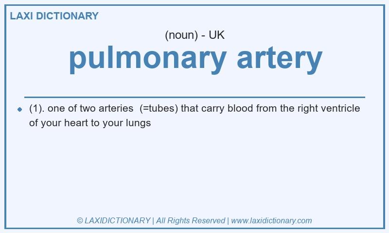 Definition pulmonary artery in British English