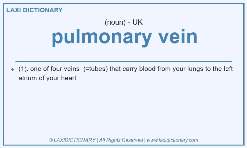 Definition pulmonary vein in British English