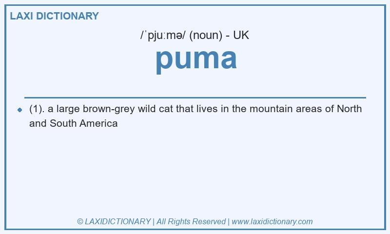 Definition puma in British English