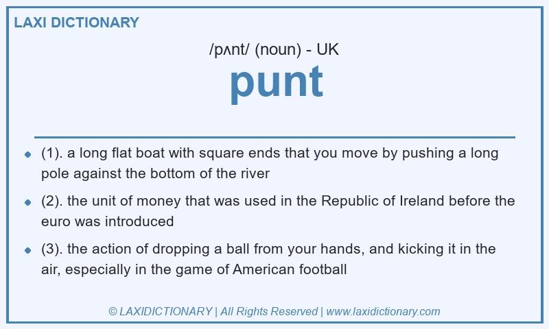 Definition punt in British English