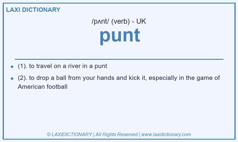 Definition punt in British English