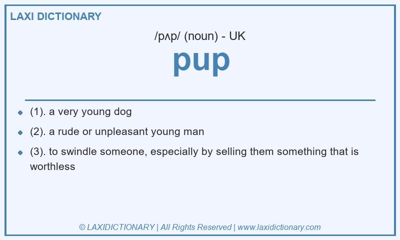 Definition pup in British English