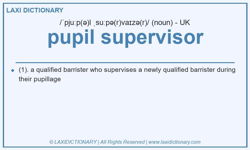 Definition pupil supervisor in British English