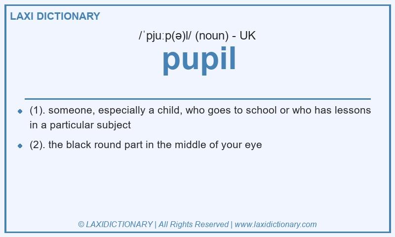 Definition pupil in British English