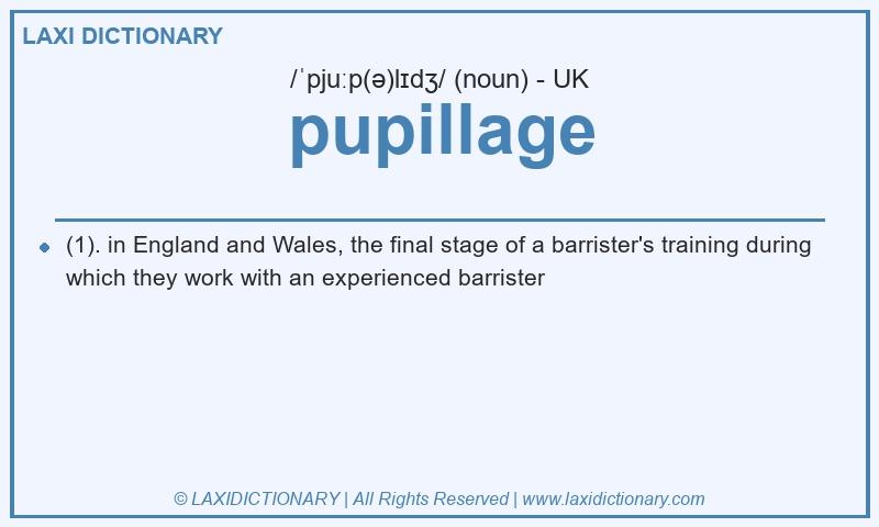Definition pupillage in British English