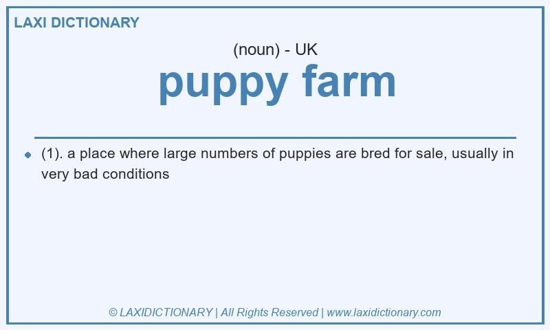 Definition puppy farm in British English