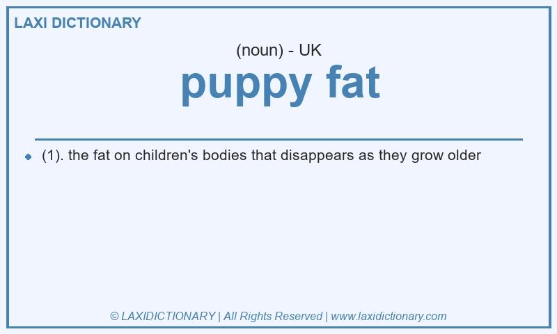 Definition puppy fat in British English