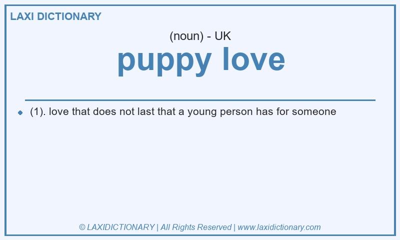 Definition puppy love in British English