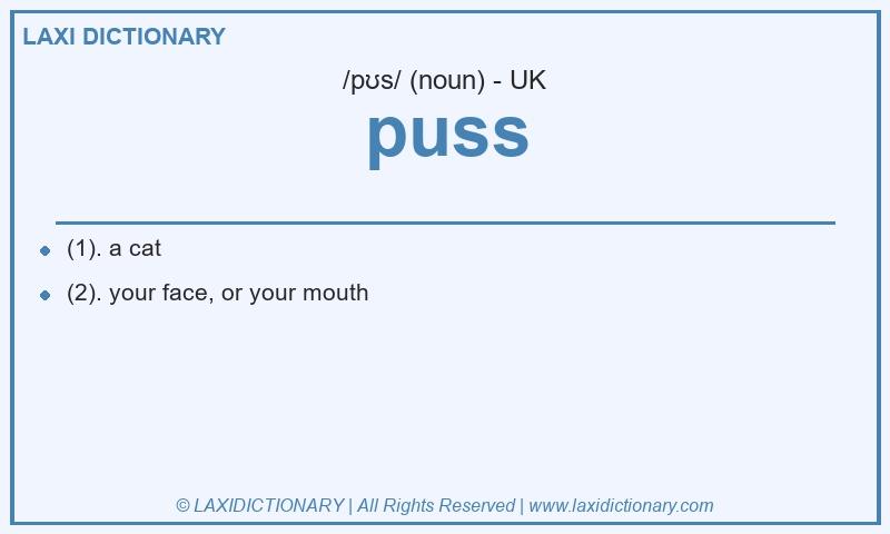 Definition puss in British English