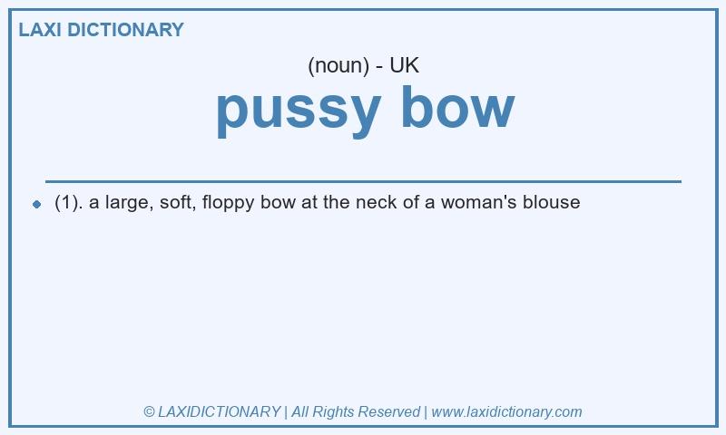 Definition pussy bow in British English