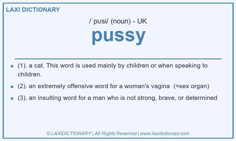 Definition pussy in British English