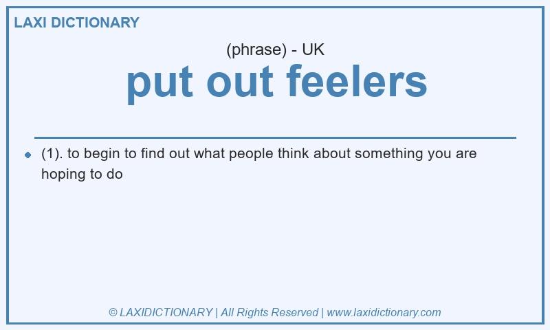 Definition put out feelers in British English