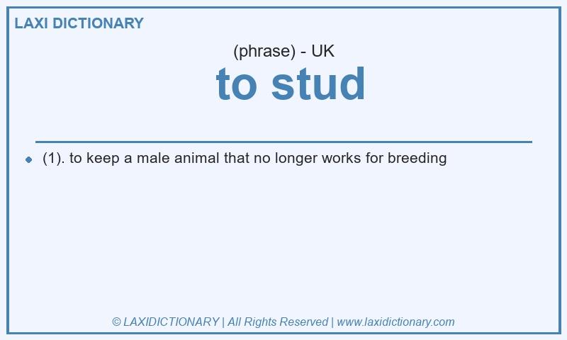 Definition  to stud in British English