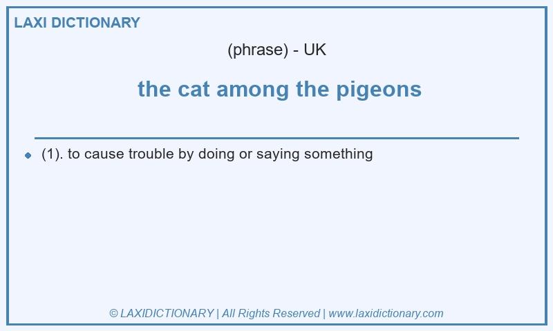 Definition  the cat among the pigeons in British English