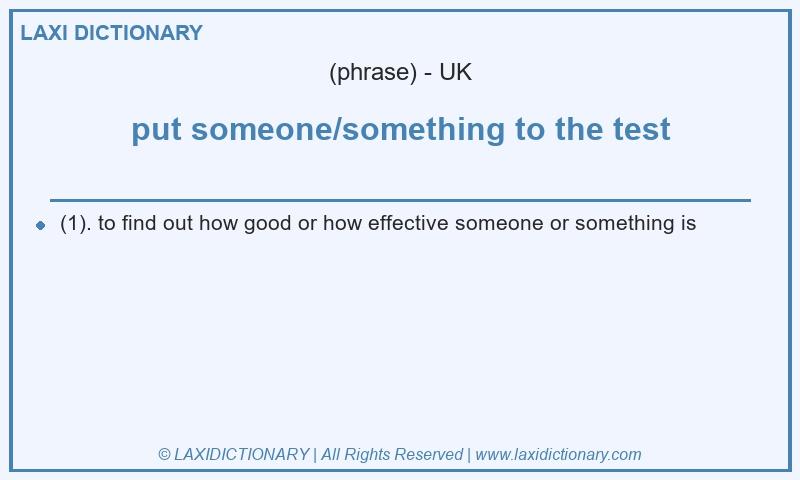 Definition put someone/something to the test in British English