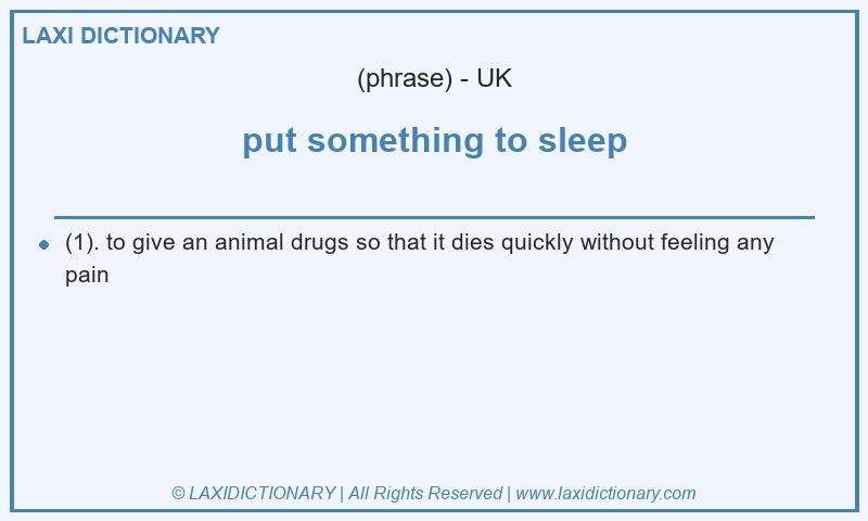 Definition put something to sleep in British English