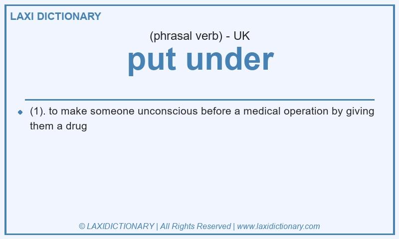 Definition put under in British English