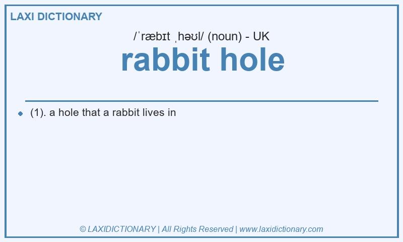 Definition rabbit hole in British English