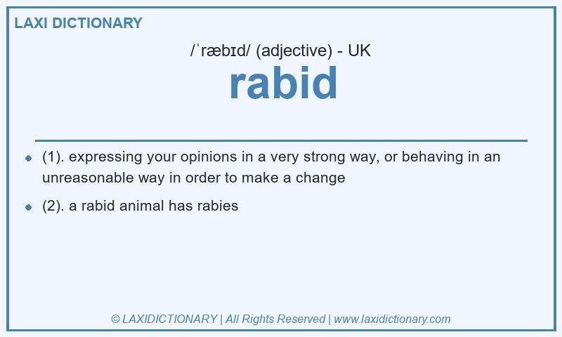 Definition rabid in British English