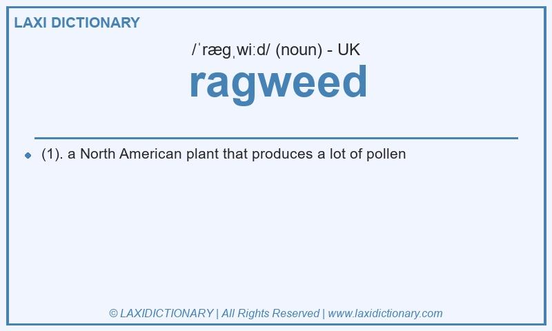Definition ragweed in British English