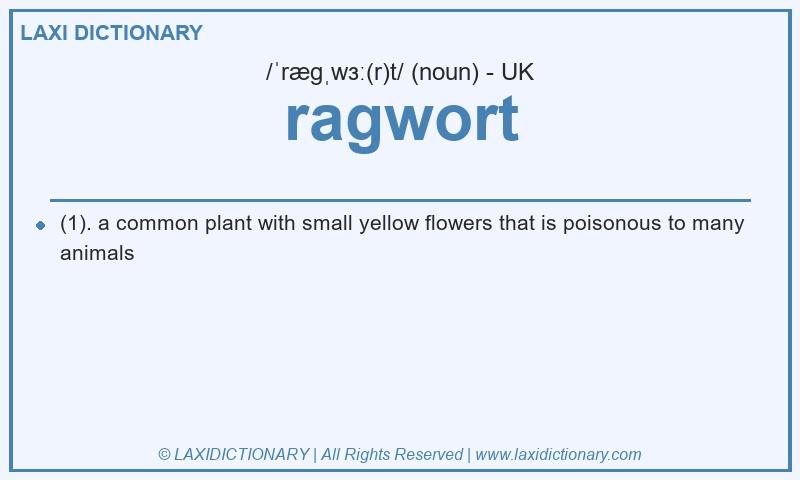 Definition ragwort in British English