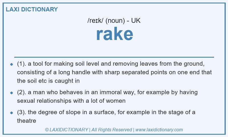Definition rake in British English