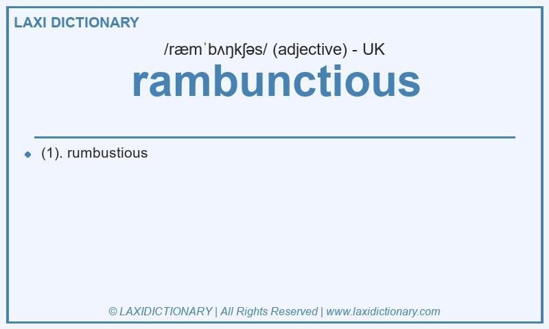 Definition rambunctious in British English