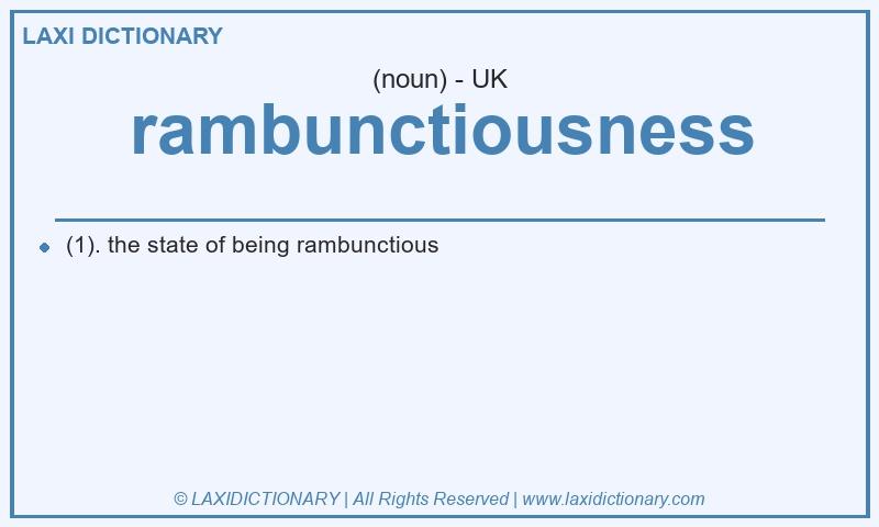 Definition rambunctiousness in British English