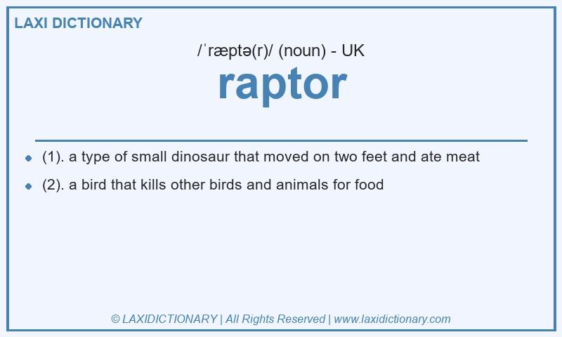 Definition raptor in British English