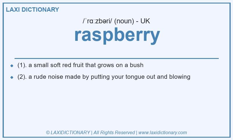 Definition raspberry in British English