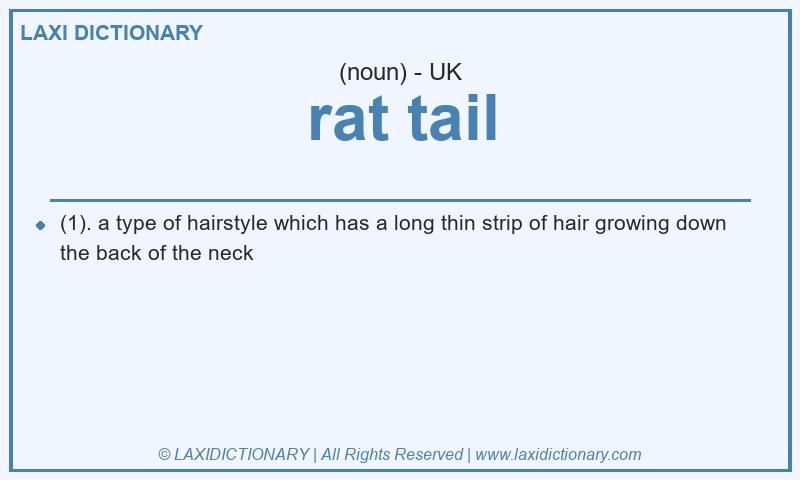 Definition rat tail in British English