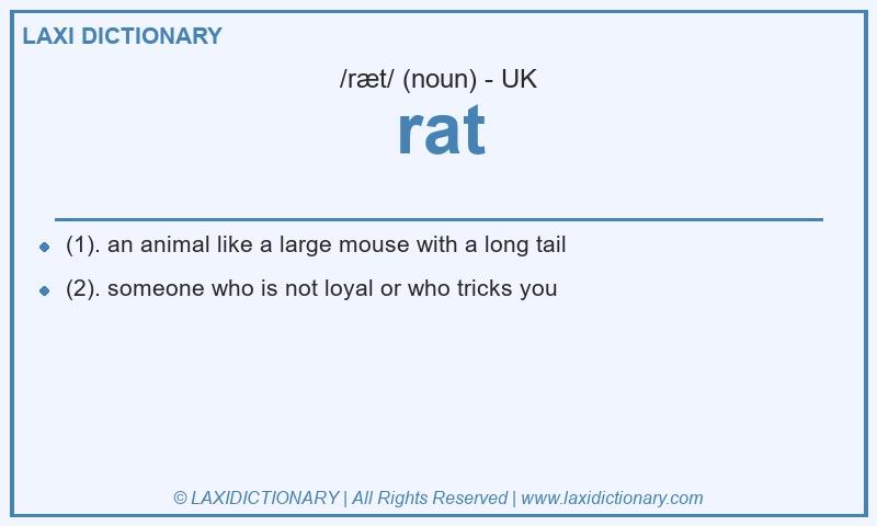 Definition rat in British English