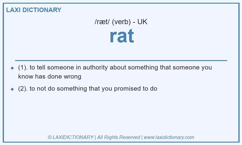 Definition rat in British English
